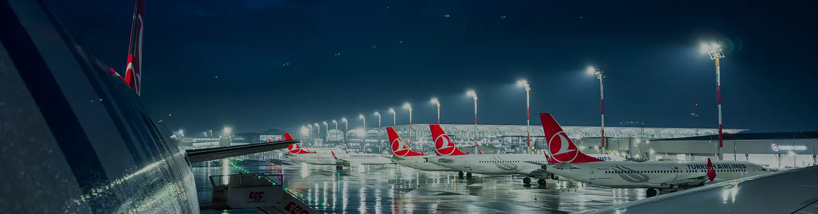 a plane during the flight